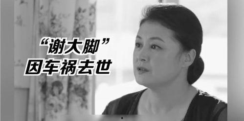 小说娱乐圈的吃瓜影帝,影帝的娱乐圈吃瓜日常