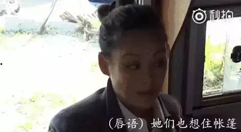 娱乐圈真热闹吃瓜群众