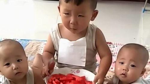 娱乐吃瓜酱哥哥和弟弟在线观看,哥哥弟弟在线观看,欢乐时光共享